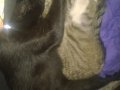 WP_20150701_004.jpg